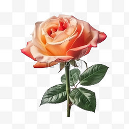 矢量玫瑰花图图片_扁平卡通免抠图素材玫瑰花