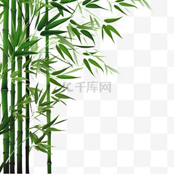 竹林，竹子，竹叶图片_竹林竹子竹叶装饰元素