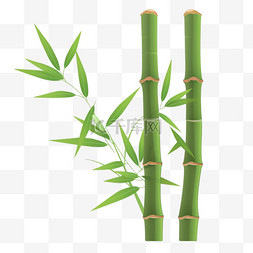 卡通手绘绿竹竹子