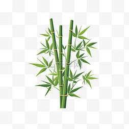 竹子icon图片_扁平简约健康竹子图标