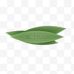 绿色弥散图片_端午端午节粽叶竹叶竹子