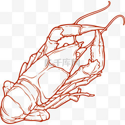 龙虾文案图片_手绘小龙虾