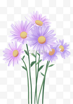 一朵大菊花图片_紫色的小雏菊