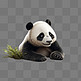 熊猫毛绒3D立体动物