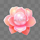 玫瑰花图标礼物彩色3D立体