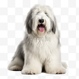 珍珠手链国潮图片高清图片-珍珠手链国潮图片高清图片素材免费下载-千