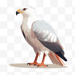 彩色卡通鸟类素材图片_扁平卡通彩色飞翔的鹰