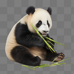 熊猫图片_卡通扁平可爱熊猫吃竹子