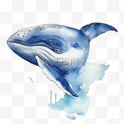 创意鲸鱼图片_蓝色卡通创意海洋鲸鱼