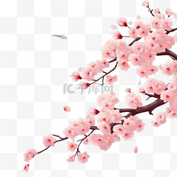 日本樱花花枝图片_春色中的樱花和飞花