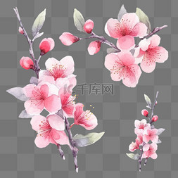桃花和桃花瓣图片_春天春季水彩樱花桃花花朵花枝