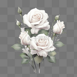 白玫瑰素材图片_白玫瑰植物花朵装饰