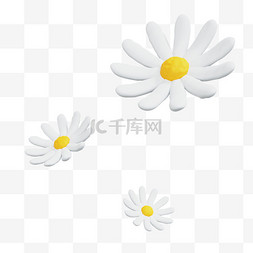 3D白色小花