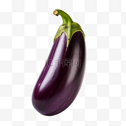 一株茄子图片_紫色的茄子素菜类