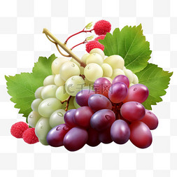 葡萄与红玫瑰和白葡萄水果