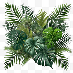 夏日叶图片_棕榈叶实物植物装饰模型插图