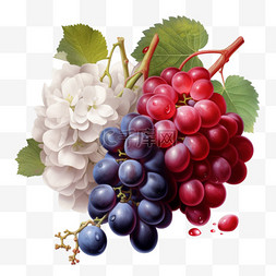 水果葡萄与红玫瑰和白葡萄