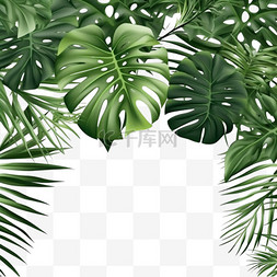 绿色植物框架图片_棕榈叶实物模型植物装饰