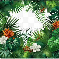 植物边框热带树叶装饰绿叶