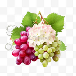 红和白图片_葡萄与红玫瑰和白葡萄水果