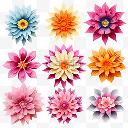 风花瓣图片_不同花瓣形状的五彩花卉剪纸风