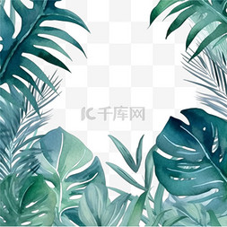 手绘夏日边框图片_手绘水彩热带树叶植物边框背景