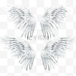 天使的翅膀手绘图片_手绘天使翅膀白色
