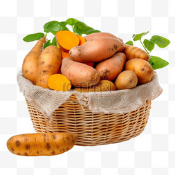 农作物背景图片_土豆马铃薯元素编织筐中的马铃薯