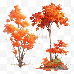 秋天的枫叶树图片_秋天枫叶枫树元素
