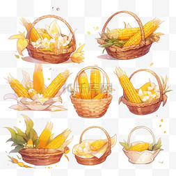 手绘农作物背景图片_秋天秋季丰收的玉米金黄色的竹筐