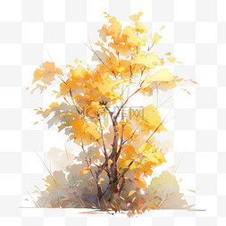 树木树叶图片_秋天黄色叶子树木树叶树大树