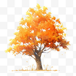 黄色树木图片_秋天植物法国梧桐树秋天的梧桐树
