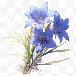 花朵蓝图片_花卉植物蓝铃花草花卉花元素