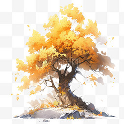 秋天秋季植物树叶大树黄色叶子的