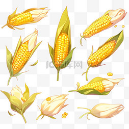 农作物背景图片_秋天卡通丰收果实玉米金黄色的玉
