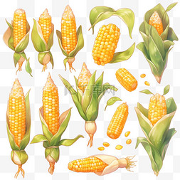 金黄色的背景图片_秋天金黄色的玉米卡通手绘丰收果