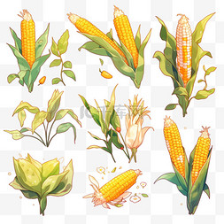 白色手绘食物图片_丰收果实玉米金黄色的玉米秋天手
