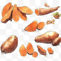 手绘农作物背景图片_红薯蒸熟的红薯切开的红薯手绘卡