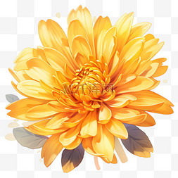 黄色植物背景图片_秋天花卉菊花黄色红色菊花元素