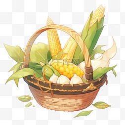 食物背景手绘图片_秋天丰收的玉米金黄色的竹筐中的