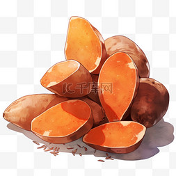 红薯蒸熟的红薯切开的红薯手绘元