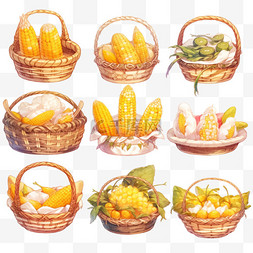 白色手绘食物图片_卡通手绘丰收的玉米金黄色的竹筐