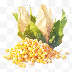 农作物图片_丰收果实玉米金黄色的玉米卡通手