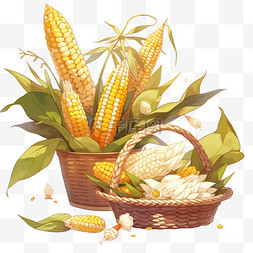 农作物卡通图片_秋天秋季丰收的玉米金黄色的竹筐