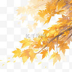 秋天黄色叶子的树木树叶树