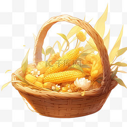 秋天丰收的粮食图片_丰收的玉米金黄色秋天竹筐中的玉