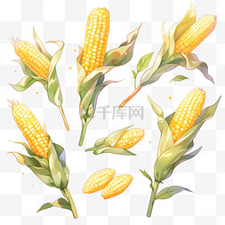 秋季农作物丰收图片_秋天手绘金黄色的玉米丰收果实玉