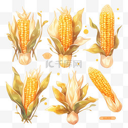 秋季农作物丰收图片_秋天秋季丰收果实玉米金黄色的玉