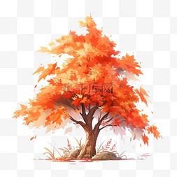 秋季的树图片_秋天枫叶枫树元素
