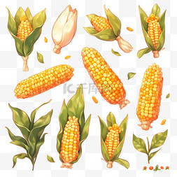 金黄色的背景图片_秋天卡通金黄色的玉米丰收果实玉